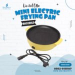 Mini Electric Frying Pan