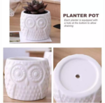 Owl Pattern Flowerpot - Image 3
