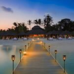 Outdoor Solar Flame LED Light - Image 9