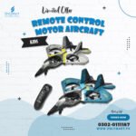 V17 2.4GHz 6CH EPP Remote Control Motor Aircraft