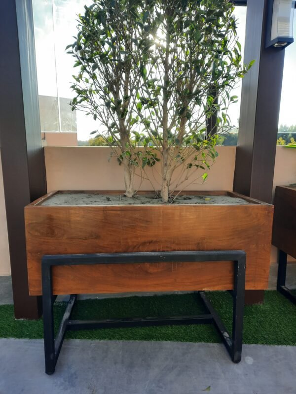 Wooden Planters Indoor & Outdoor - Image 4